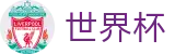 FIFA 2026世界杯线上官方直营_官方中文门户及数字索引